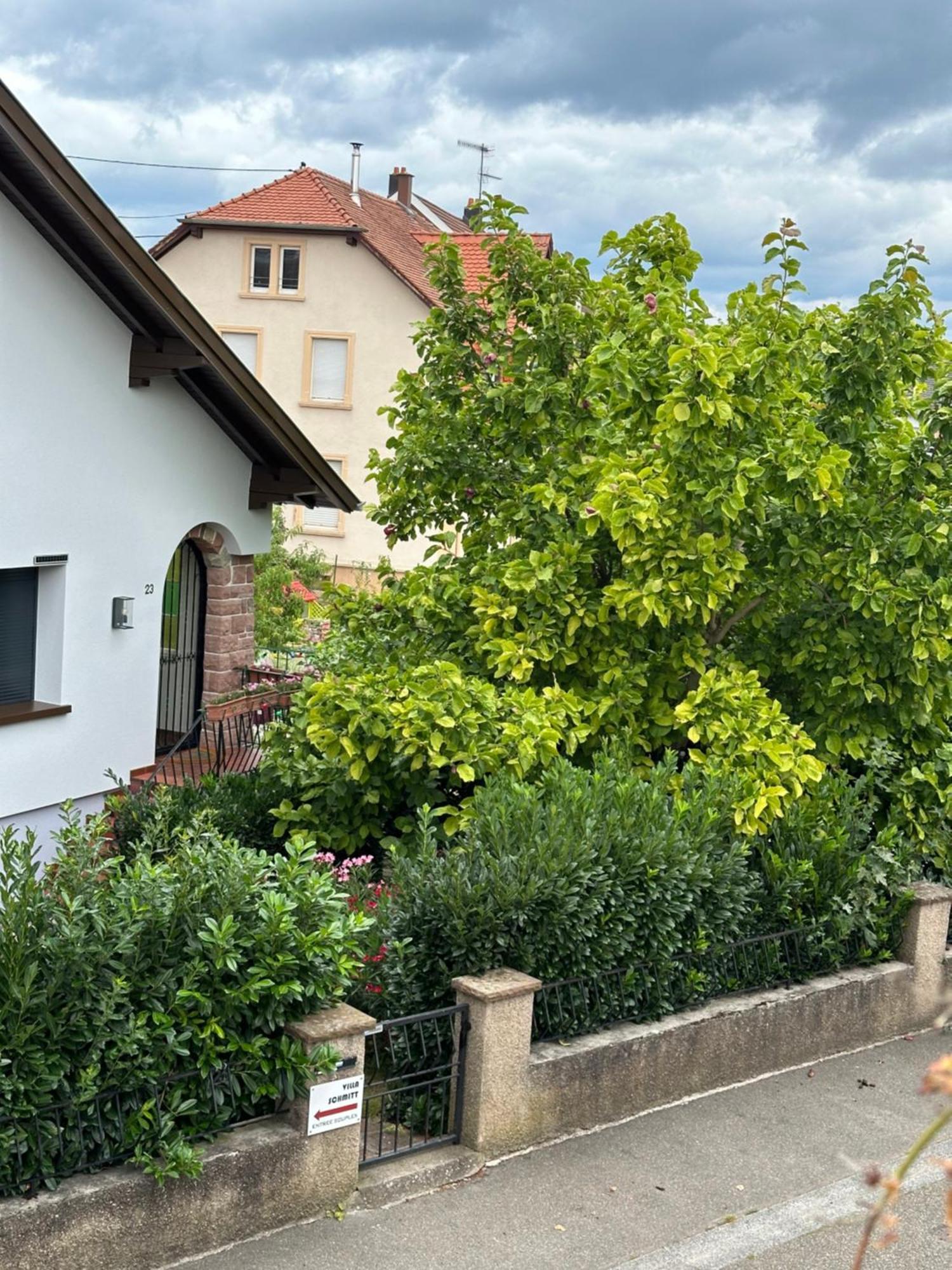 Villa Schmitt セレスタ エクステリア 写真